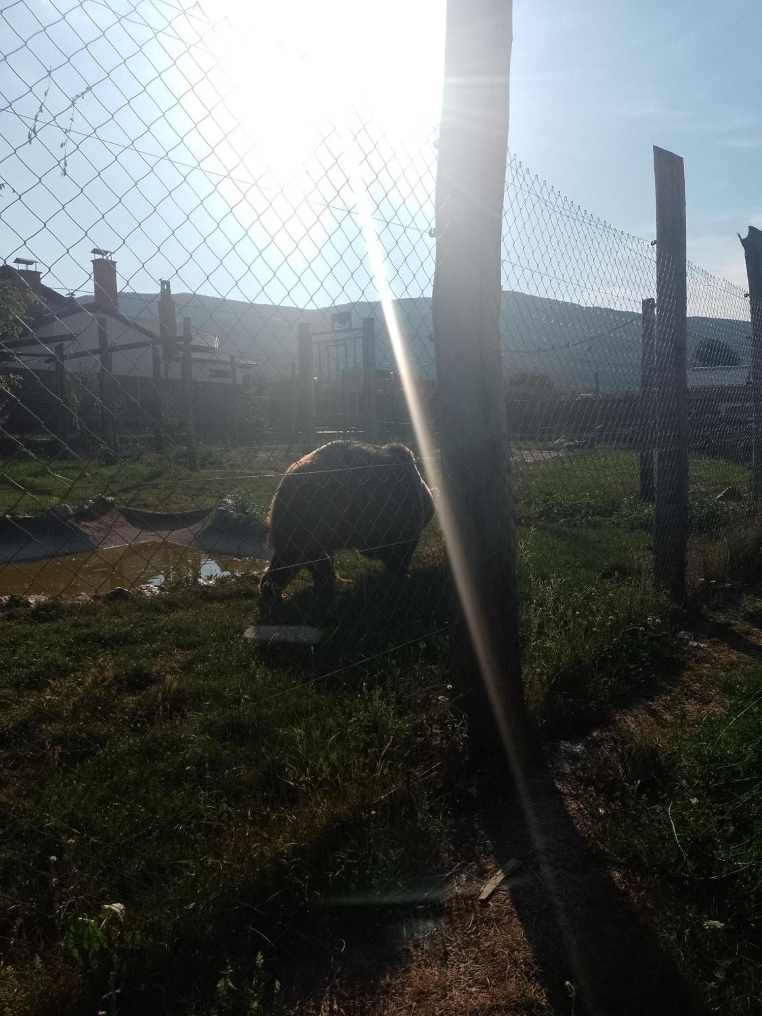 Apartman Djak Plitvička Jezera Εξωτερικό φωτογραφία